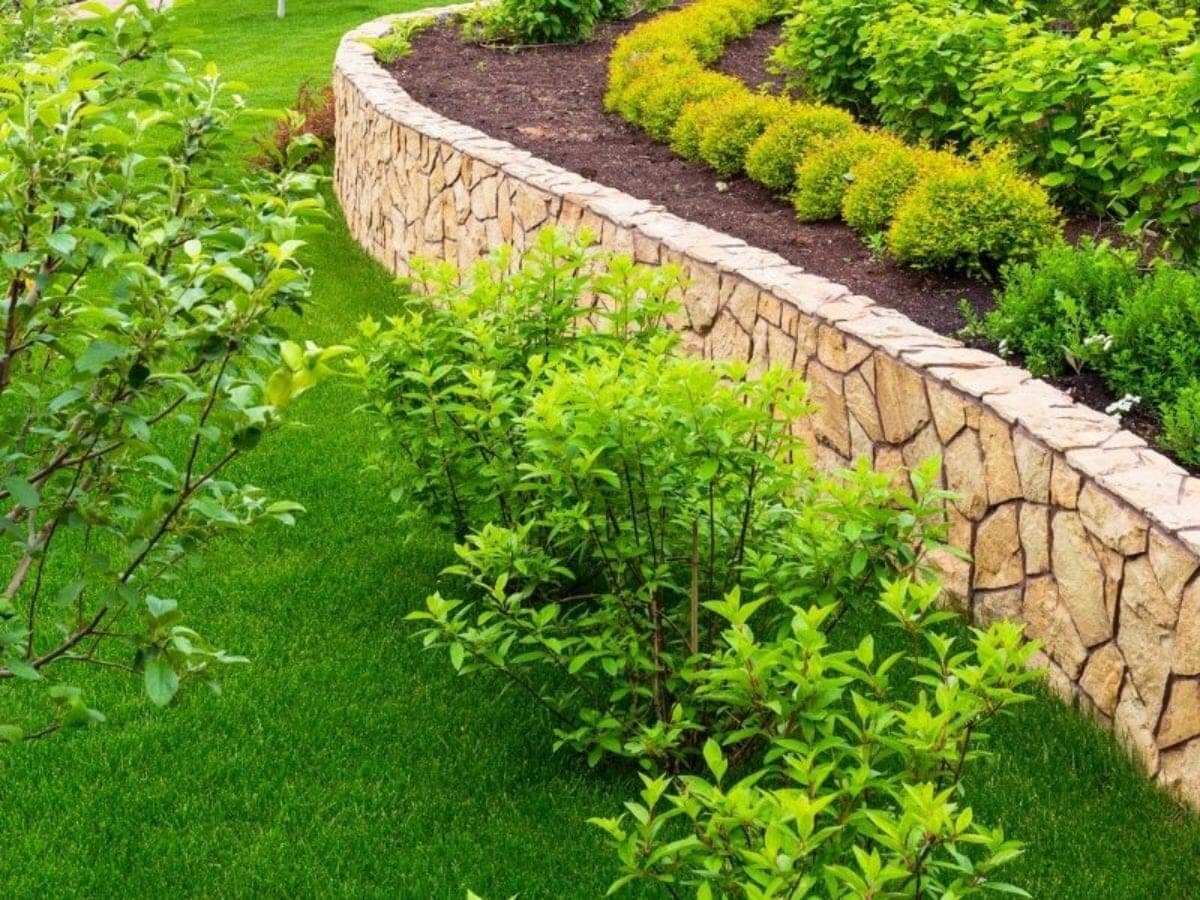What are the seven 7 principles of landscape design?