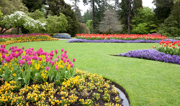 What are the seven 7 principles of landscape design?