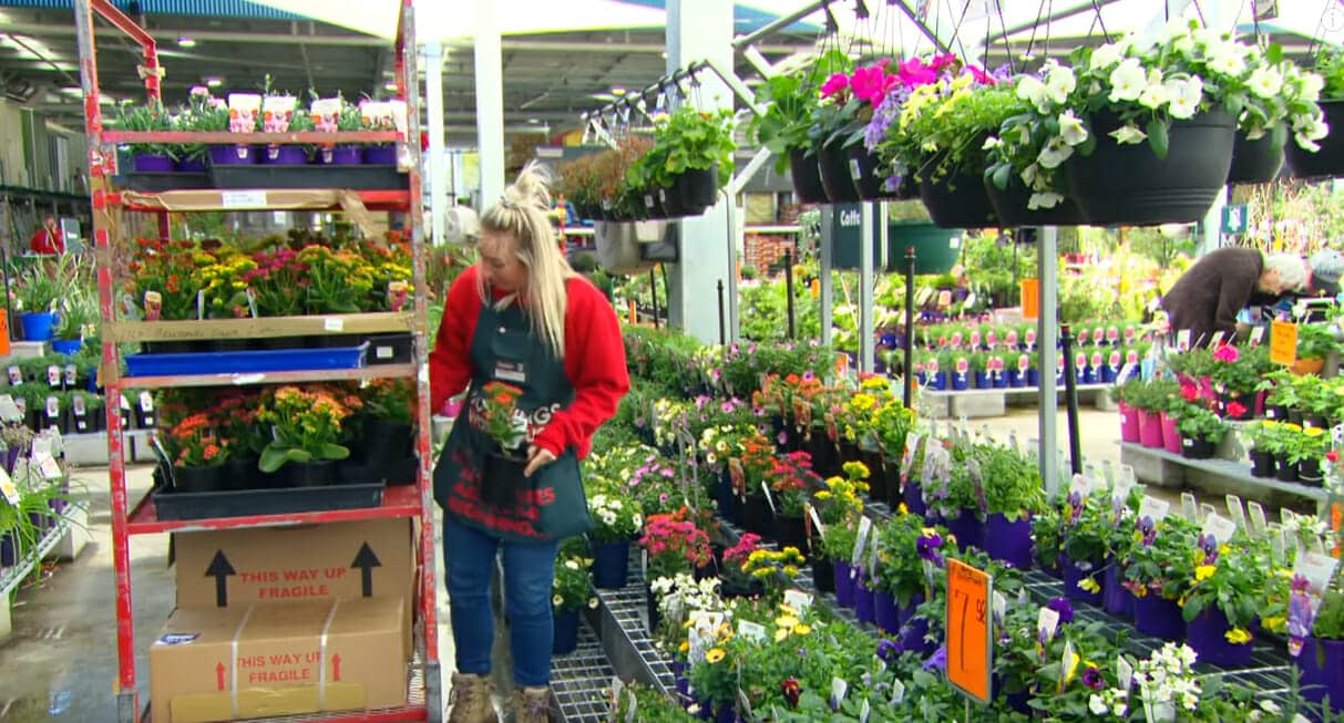 The Benefits of Low Maintenance Landscaping