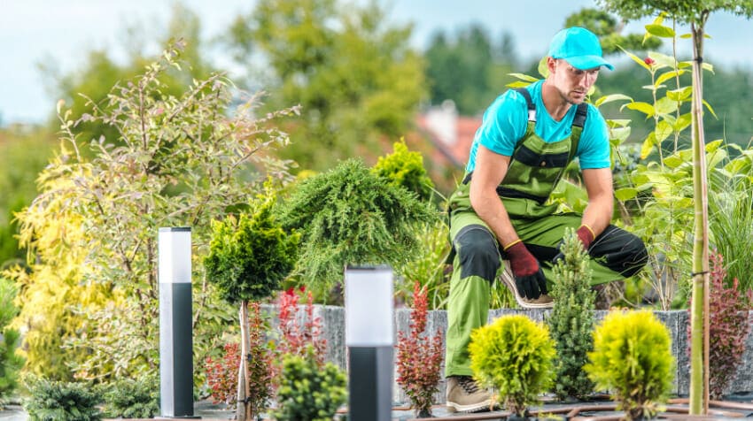 Embrace Natures Harmony Craft a Sustainable Landscape Brimming with EcoFriendly Marvels