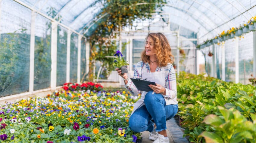 Expertise of Plant Selection for Your Dream Garden