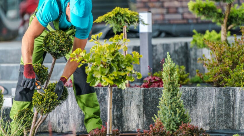 The Ultimate Garden Maintenance Guide Keeping Your Haven Impeccably Beautiful