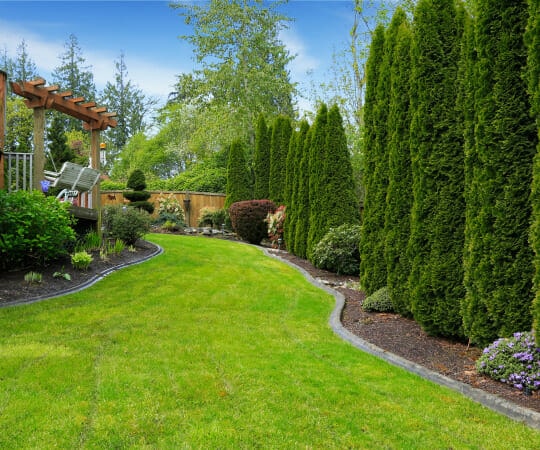 Discover the Artistry of Landscape Architecture Shape Your Outdoor Space with Timeless Beauty