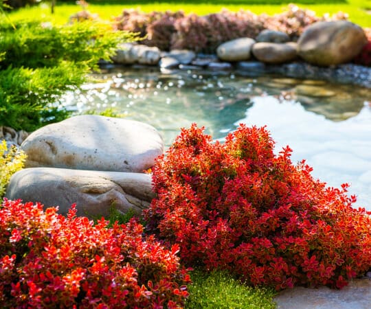 Dive into Tranquility Discover the Allure of Water Features in Your Garden Paradise