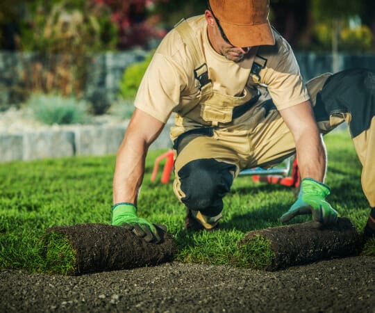 Effortless Garden Maintenance Tips and Tricks to Keep Your Outdoor Haven Flourishing Year Round