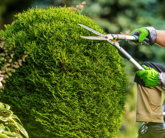 Effortless Garden Maintenance Tips and Tricks to Keep Your Outdoor Haven Flourishing Year Round