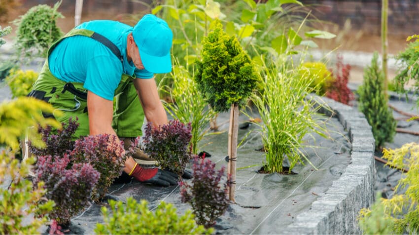 Effortless Garden Maintenance Tips and Tricks to Keep Your Outdoor Haven Flourishing Year Round