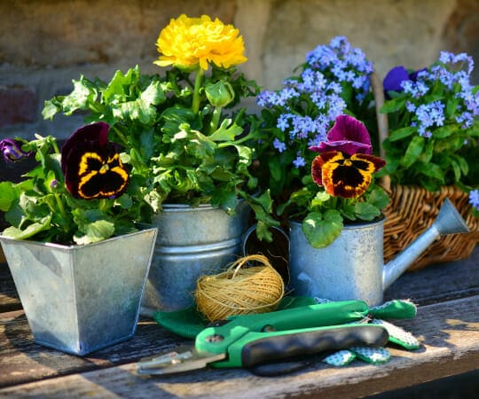 Embrace Natures Harmony Craft a Sustainable Landscape Brimming with EcoFriendly Marvels