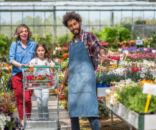  Expertise of Plant Selection for Your Dream Garden