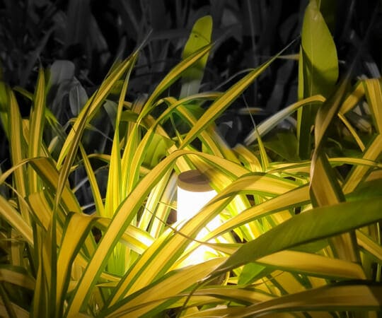 Illuminate Your Outdoor Haven with Stunning Landscape Lighting