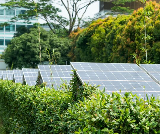 Green Living at Its Finest Building a Sustainable Landscape for a Greener Future