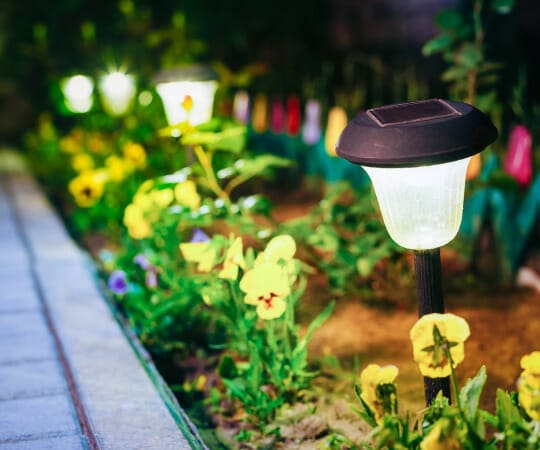 Illuminate Your Nightscape Infuse Magic into Your Garden with Mesmerizing Landscape Lighting