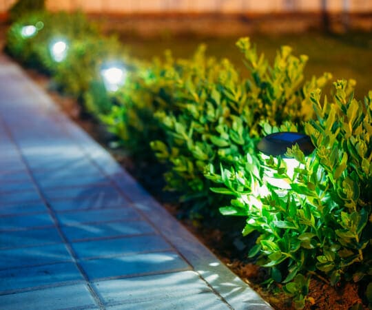 Illuminate Your Nightscape Infuse Magic into Your Garden with Mesmerizing Landscape Lighting