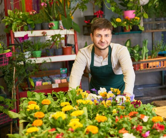 Master the Art of Plant Selection