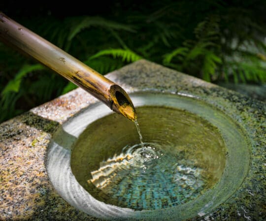 Unleash the Serenity Enhance Your Garden with Enchanting Water Features