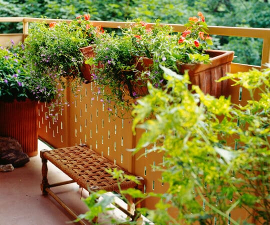 Urban Oasis Unveiled Transform Concrete Jungles with Breathtaking Urban Landscaping