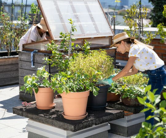 Urban Oasis Unveiled Transform Concrete Jungles with Breathtaking Urban Landscaping