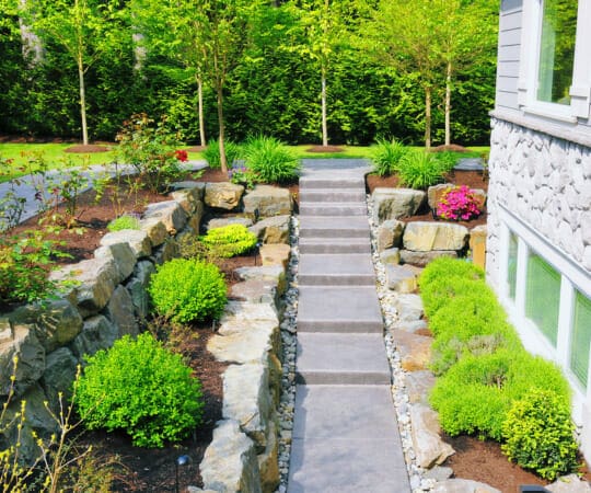 Where Art Meets Nature Exploring the World of Landscape Architecture