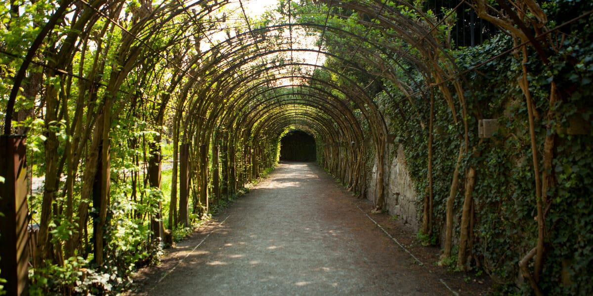 Enchanted Elegance: Unveiling the Allure of Pergolas and Arbors