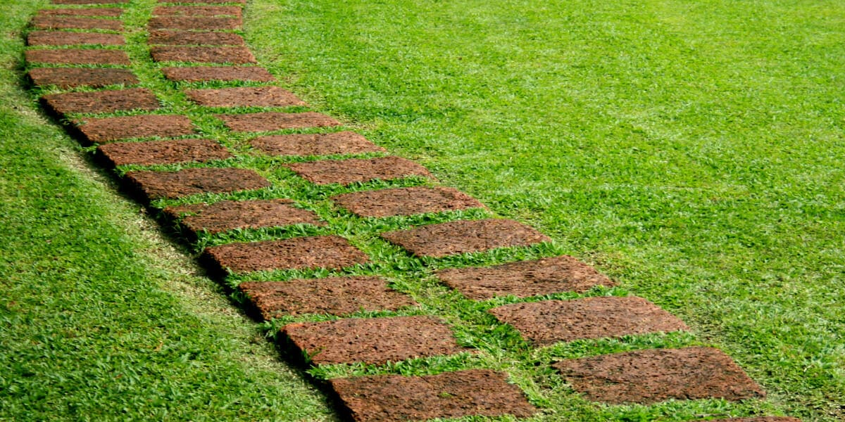 Pathways to Paradise: Wanderlust with Stunning Walkways