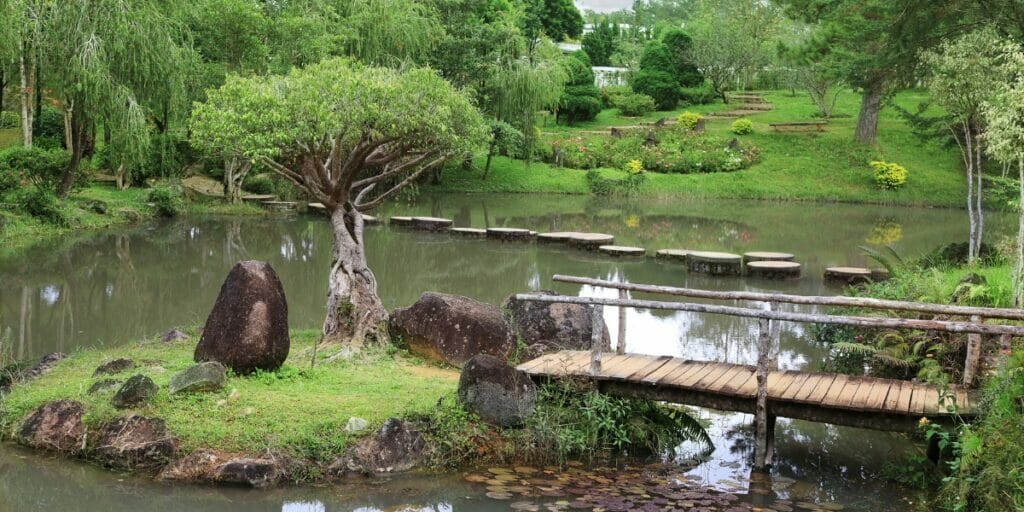 Basic Elements of Landscape Design