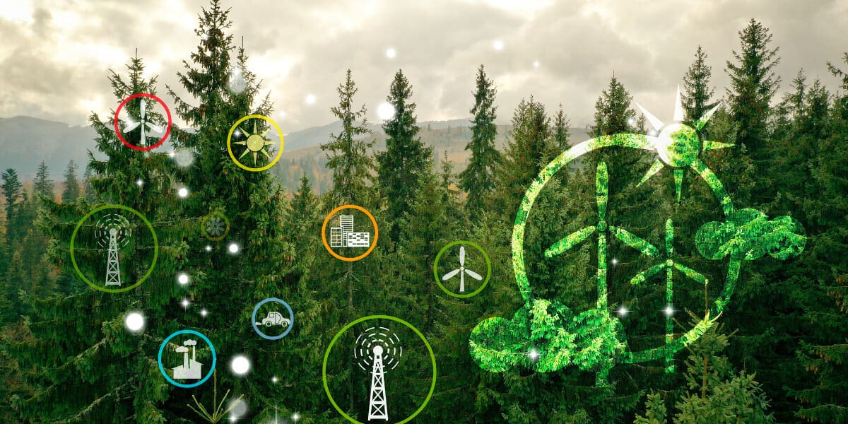 The Influence of Landscape Design on Environmental Conservation