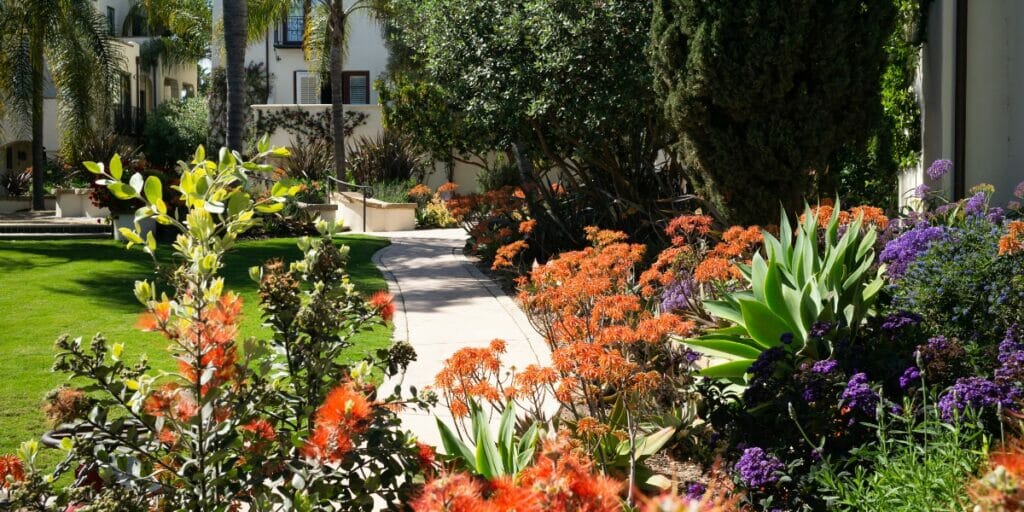 Landscape Design Principles You Should Know