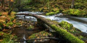 The Benefits of Regenerative Landscapes