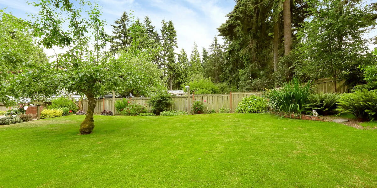 The Influence of Landscape Design on Environmental Conservation