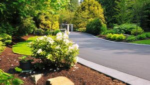 Eltham Landscape Trends