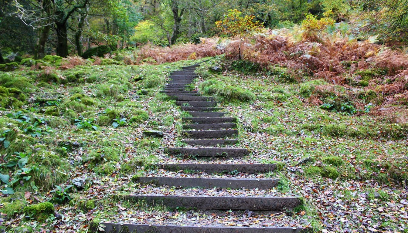 Nature into Landscape Design